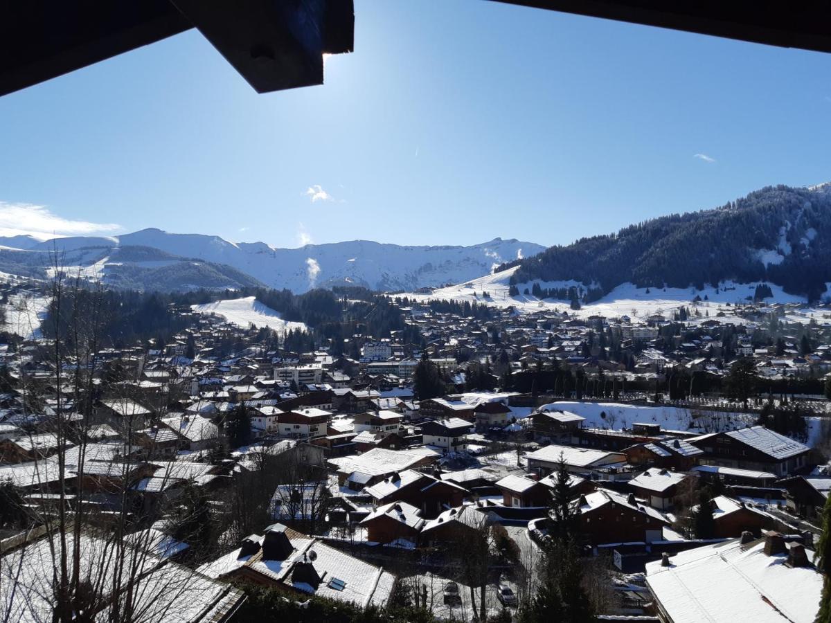 Chalet Horizon Blanc 메게브 외부 사진