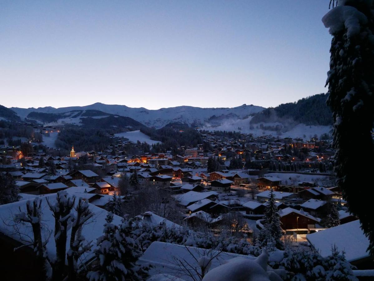 Chalet Horizon Blanc 메게브 외부 사진
